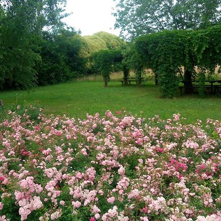 Agriturismo Il Magicorto Cassola Екстер'єр фото