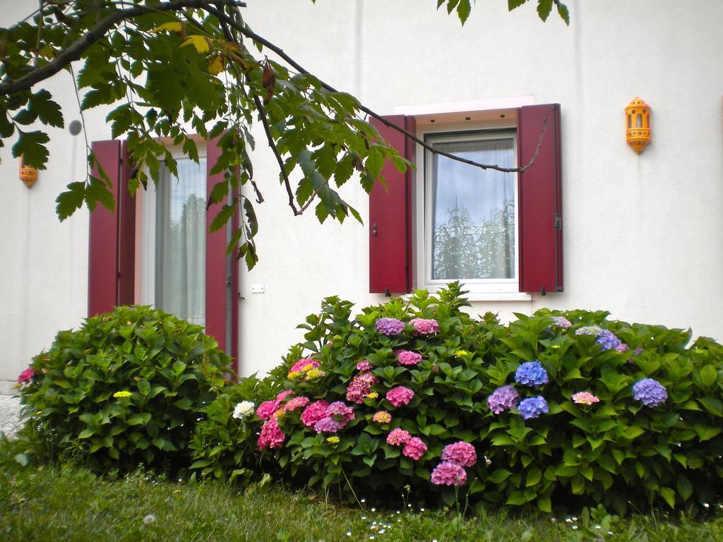 Agriturismo Il Magicorto Cassola Номер фото