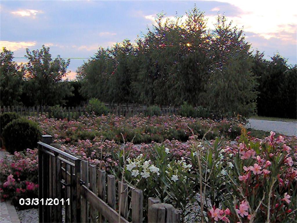 Agriturismo Il Magicorto Cassola Екстер'єр фото