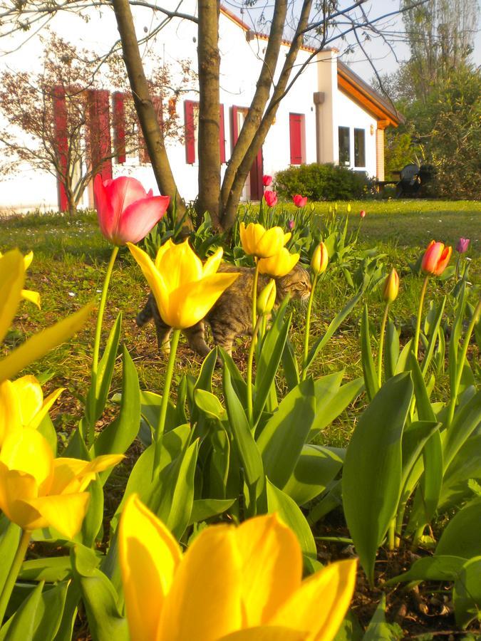 Agriturismo Il Magicorto Cassola Екстер'єр фото