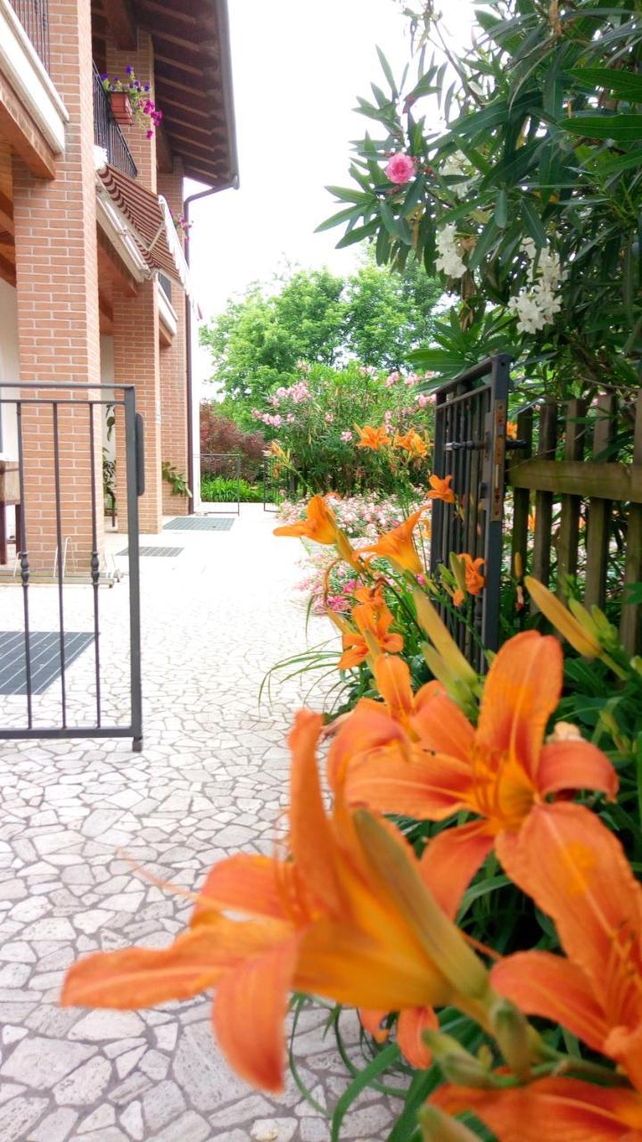 Agriturismo Il Magicorto Cassola Екстер'єр фото