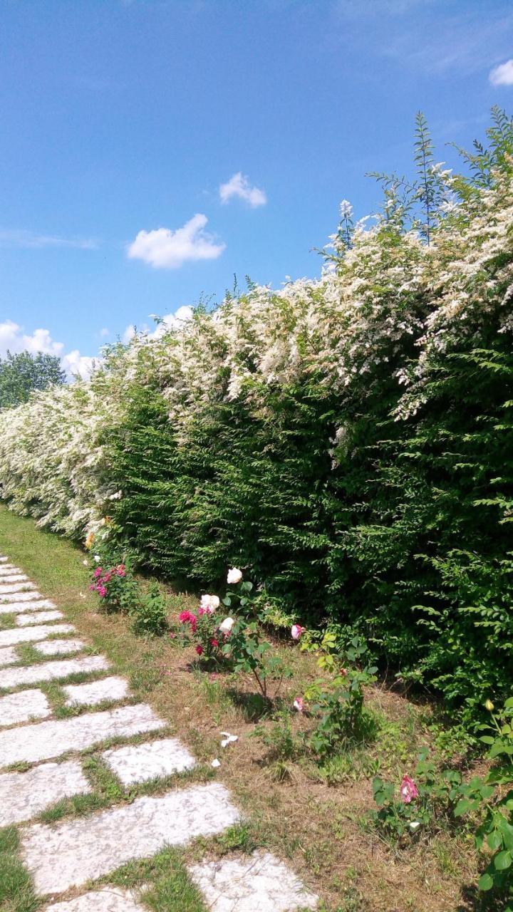 Agriturismo Il Magicorto Cassola Екстер'єр фото