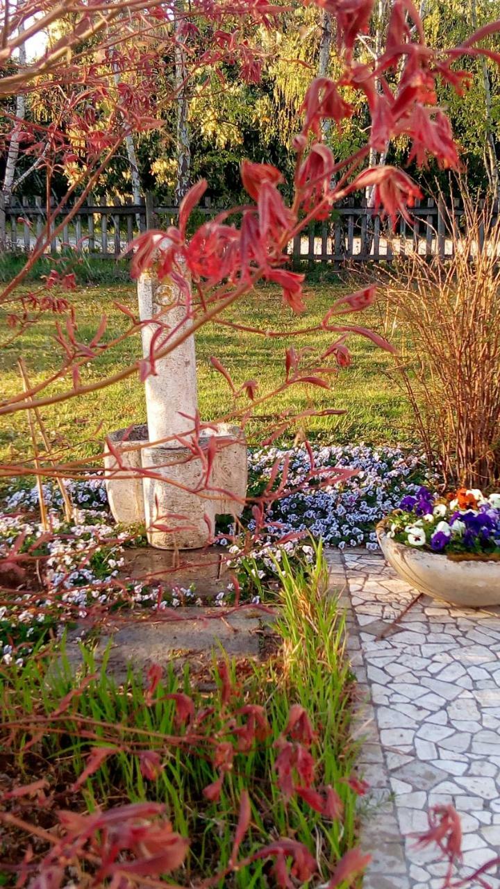 Agriturismo Il Magicorto Cassola Екстер'єр фото